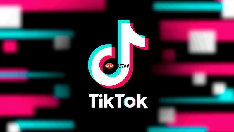tiktok官方网站登录_tiktok国际版网页入口