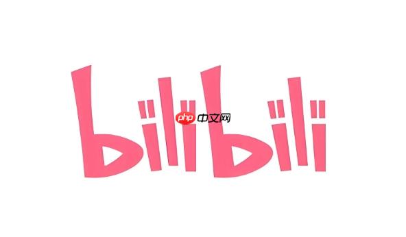 B站哔哩哔哩官方入口 bilibili主页快速进入