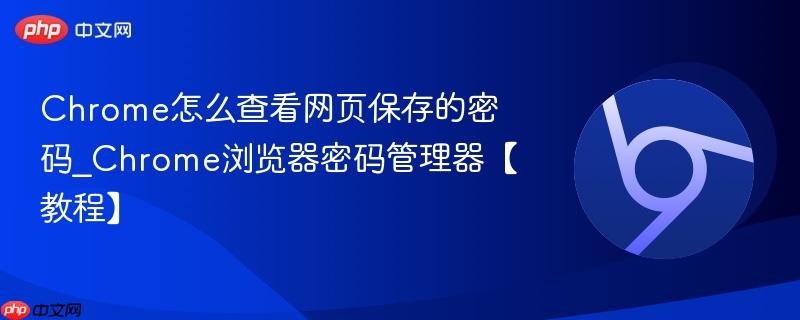Chrome怎么查看网页保存的密码_Chrome浏览器密码管理器【教程】
