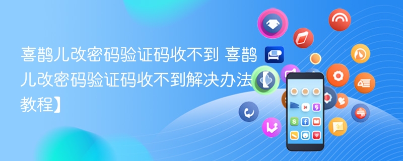 喜鹊儿改密码验证码收不到 喜鹊儿改密码验证码收不到解决办法【教程】