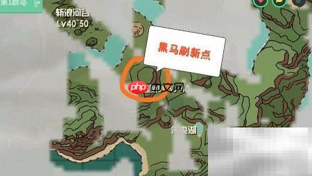 黑马捕捉攻略