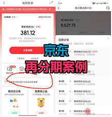 京东白条逾期的后果是什么-京东白条逾期有啥后果