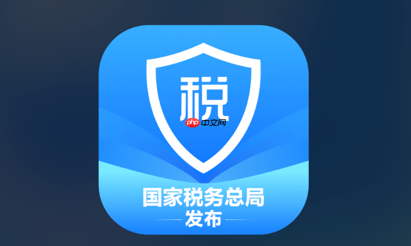个人所得税扫码登录入口 自然人电子税务局APP扫码入口