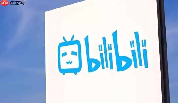 哔哩哔哩bilibili官网入口访问 哔哩哔哩官方网页版免费网址