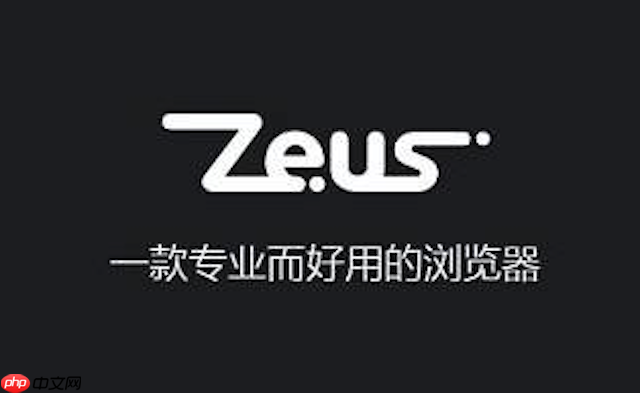 宙斯浏览器如何解决网页中验证码图片加载不出来的问题？