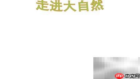 大自然的奇妙世界