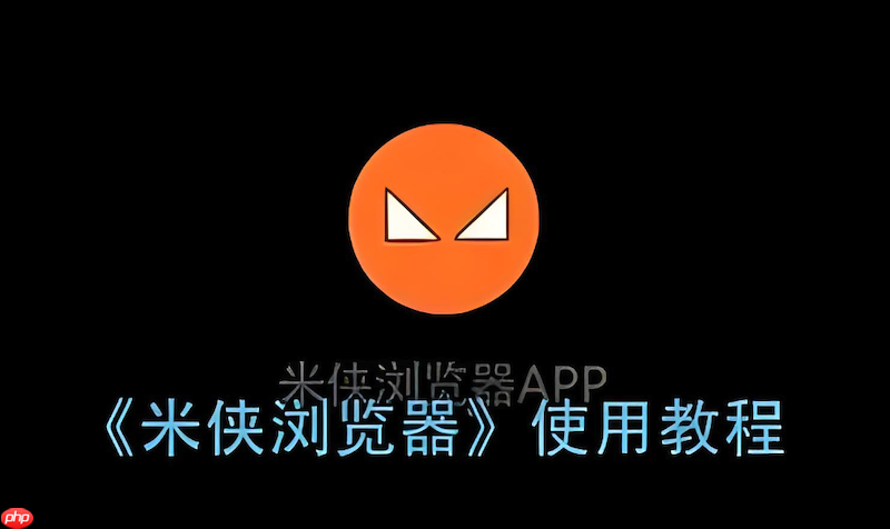 米侠浏览器播放网页视频失败如何解决