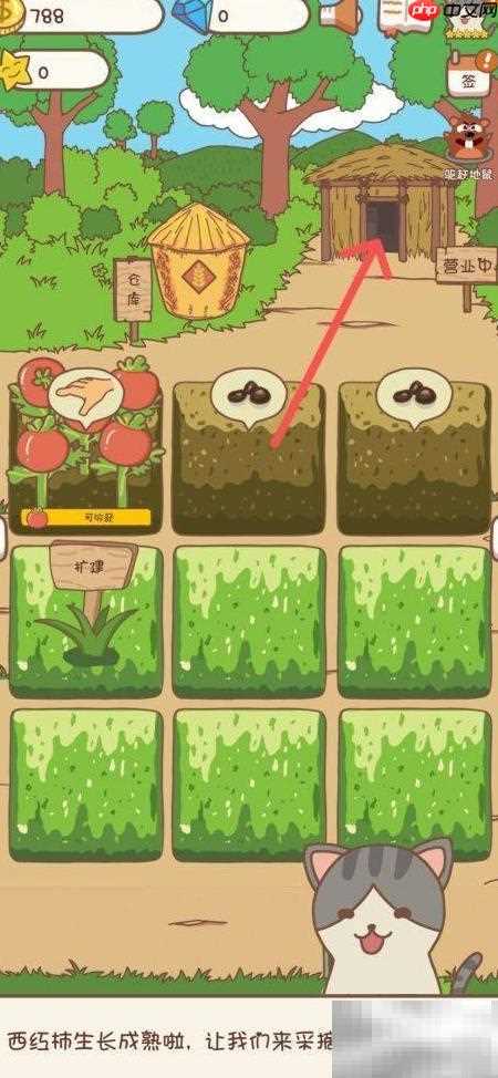 口袋菜地超市收银台位置指南