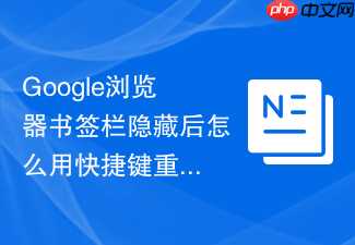 Google浏览器书签栏隐藏后怎么用快捷键重新调出？