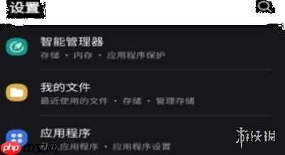 SamHelper如何授权应用设置权限