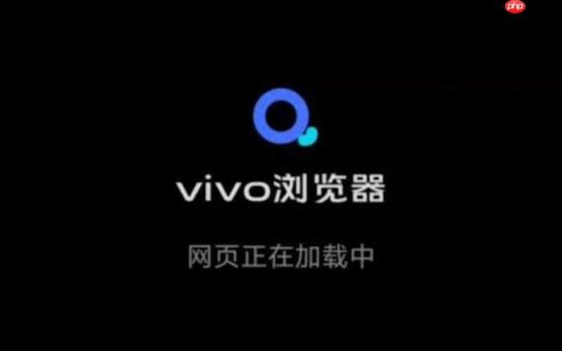vivo浏览器打不开特定外链网址显示错误代码怎么修复