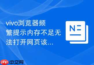 vivo浏览器频繁提示内存不足无法打开网页该怎么深度清理？