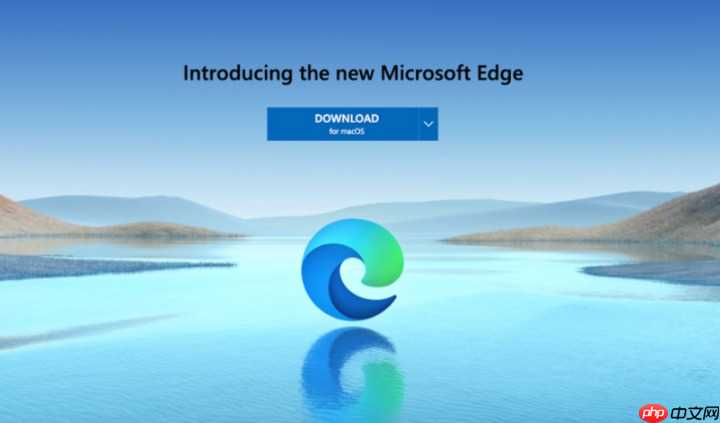 Edge浏览器右上角扩展图标全部消失了该如何重新调出