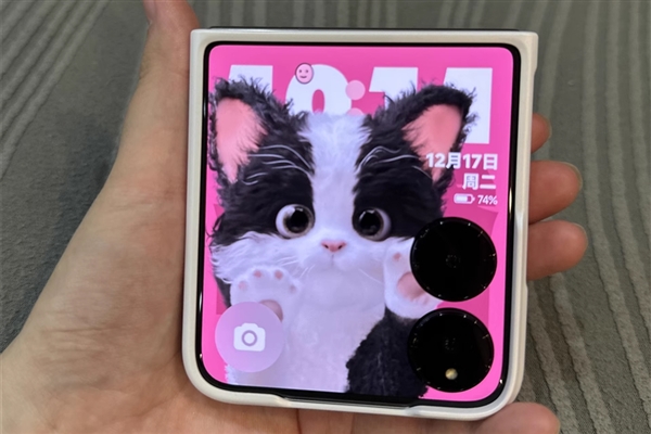 OPPO Find N3 Flip如何更换外屏萌宠动态壁纸_Find N3 Flip外屏美化设置